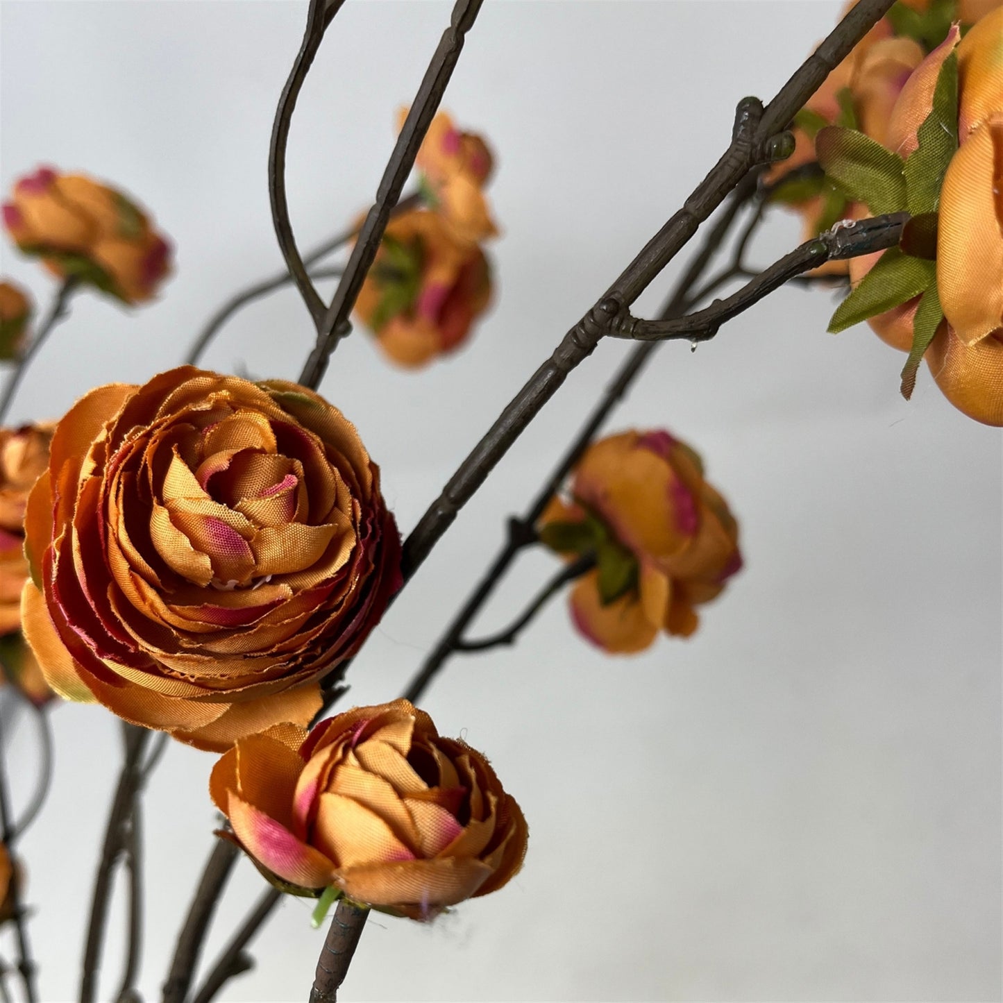 Blooming Ranunculus Branch 44" - Sunset