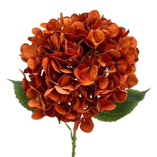 Full Bloom Hydrangea 27" - Burnt Orange | GT