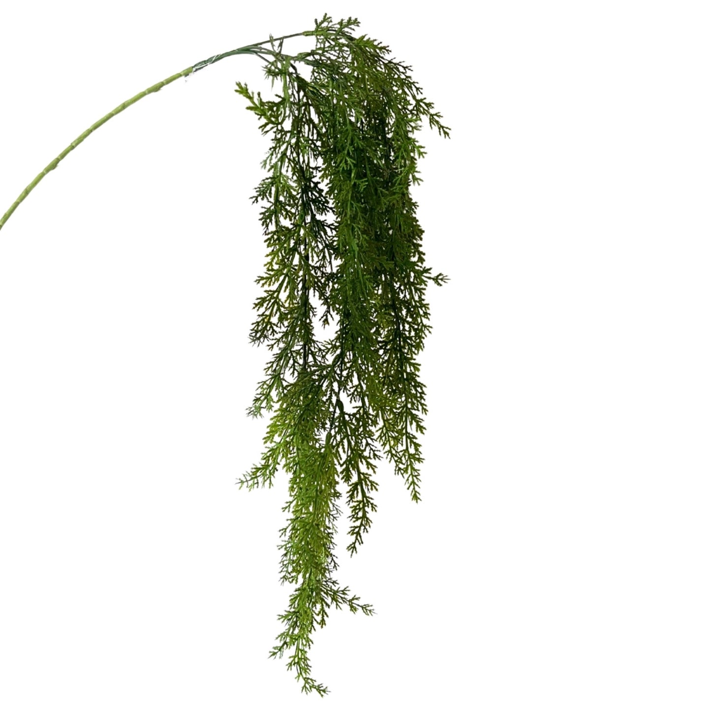 Hanging Cedar Vine 31" - Green