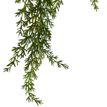 Hanging Cedar Vine 31" - Green