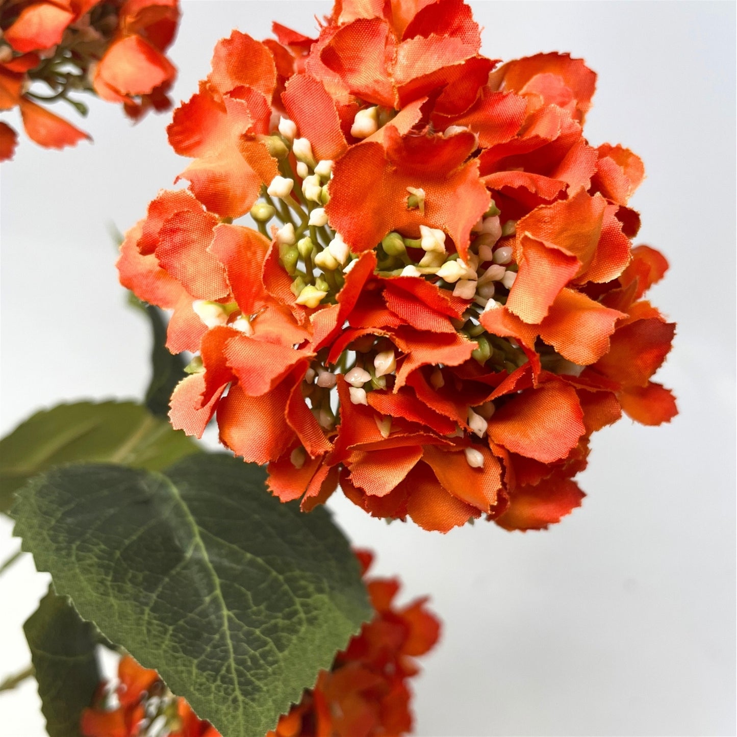 Budding Hydrangea Spray x 3 - 30" - Orange | GT