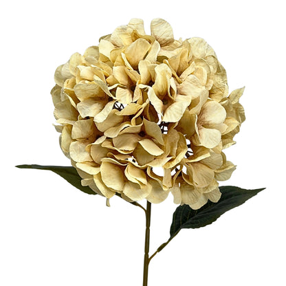 Faux Dried Hydrangea Stem 30" - Ivory | GT