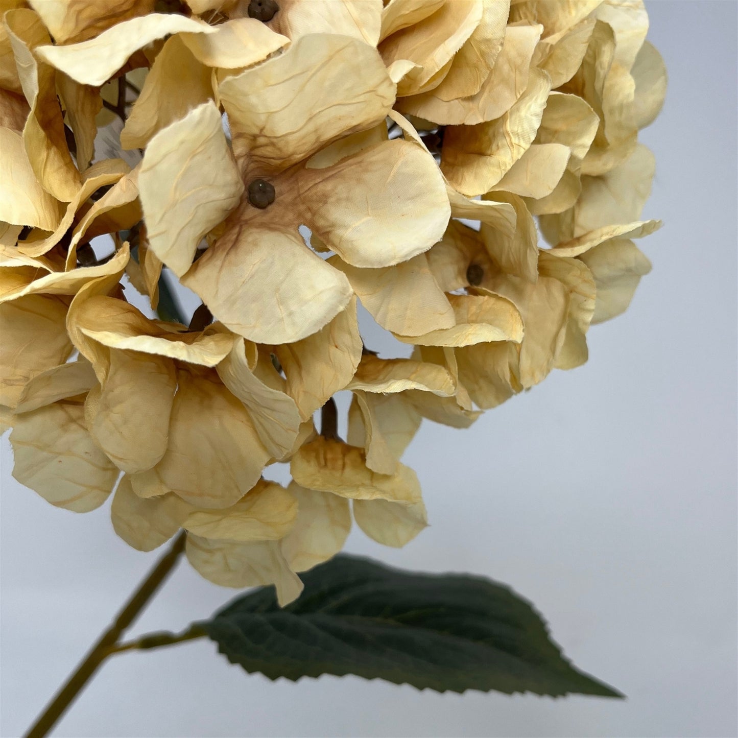 Faux Dried Hydrangea Stem 30" - Ivory | GT