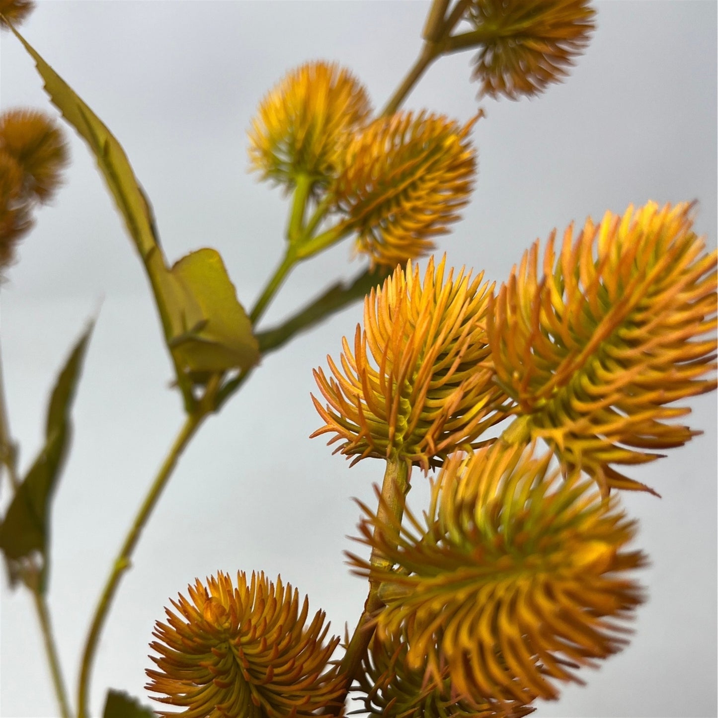 Thistle Branch 32" - Gold | GT