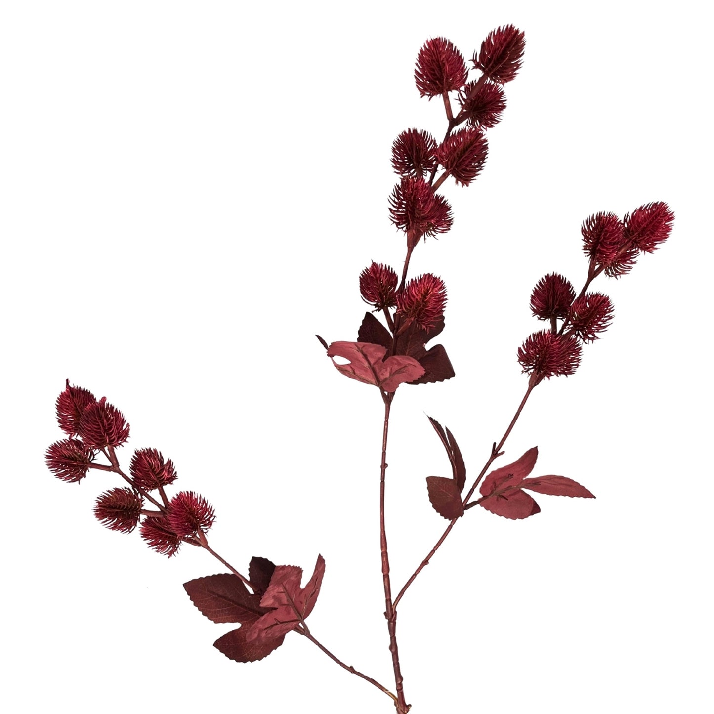 Thistle Branch 32" - Red | GT
