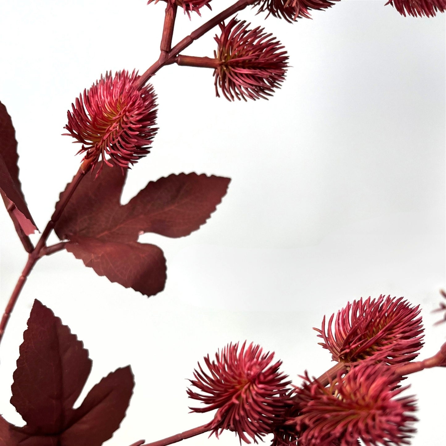 Thistle Branch 32" - Red | GT
