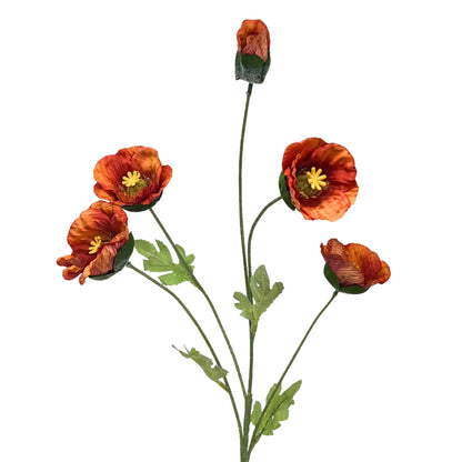 Wild Poppy Spray x5 - 29" - Burnt Orange | GT