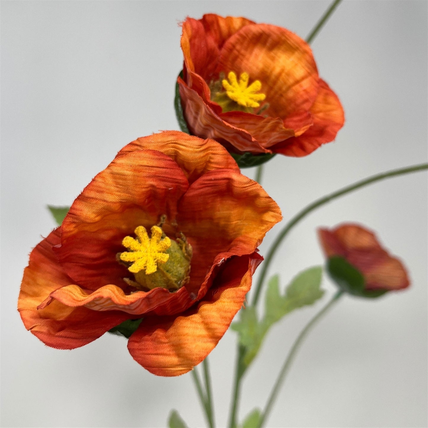 Wild Poppy Spray x5 - 29" - Burnt Orange | GT