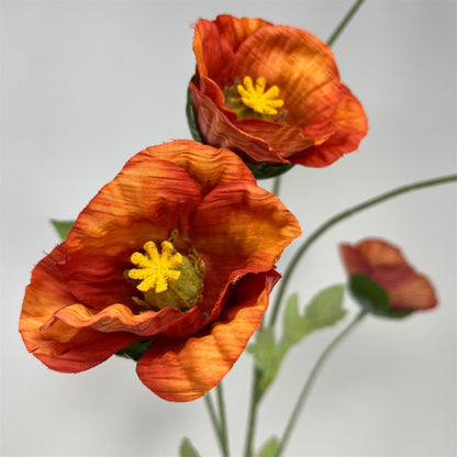 Wild Poppy Spray x5 - 29" - Burnt Orange | GT