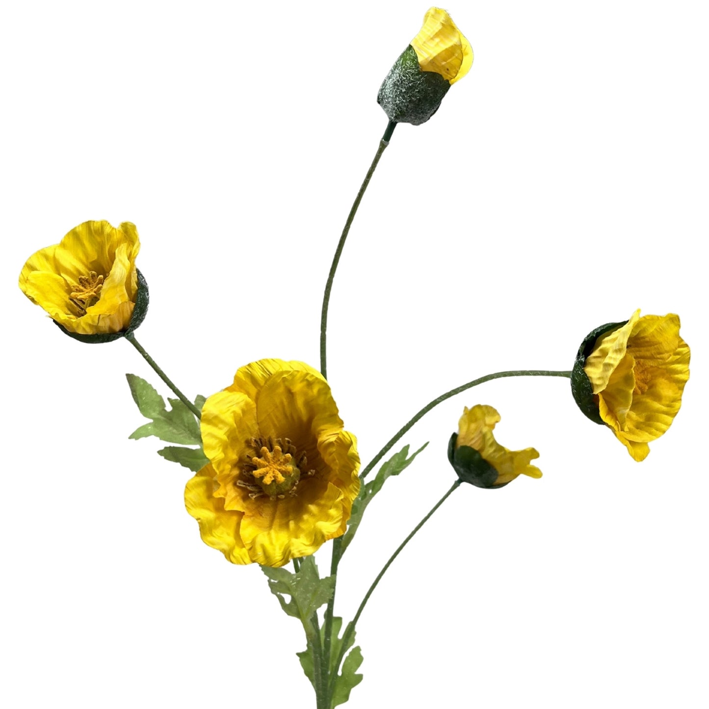Wild Poppy Spray x5 - 29" - Yellow | GT