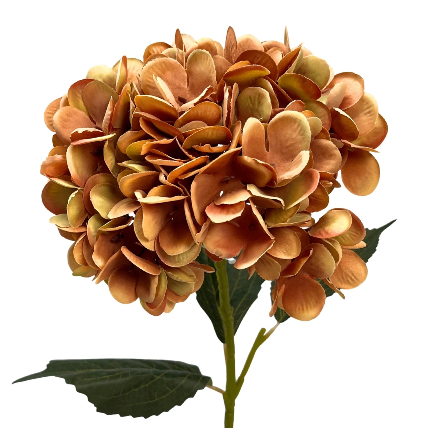 Harmony Hydrangea Stem 24" - Caramel | GT