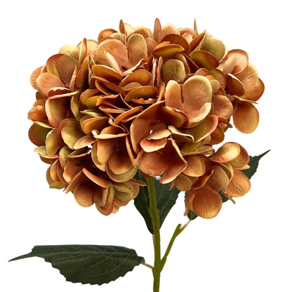 Harmony Hydrangea Stem 24" - Caramel | GT