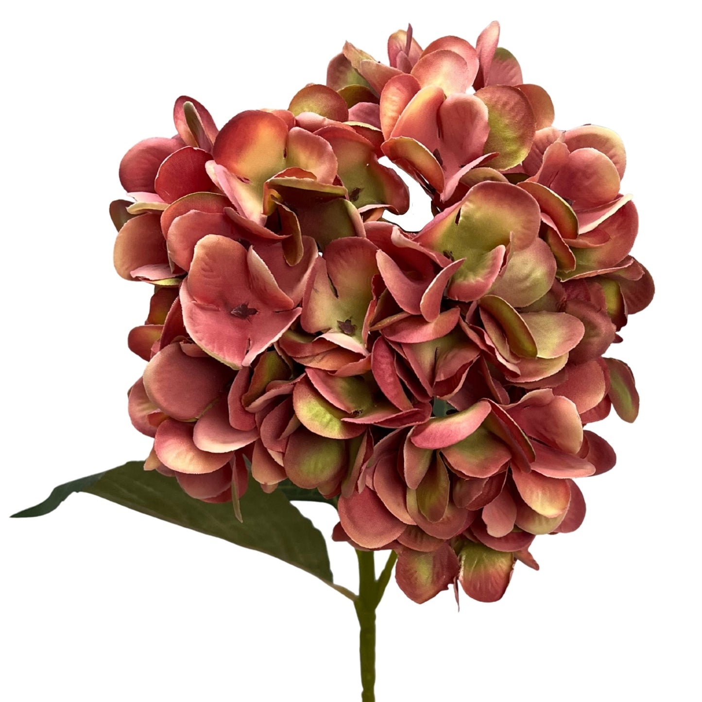 Harmony Hydrangea Stem 24" - Moody Mauve | GT