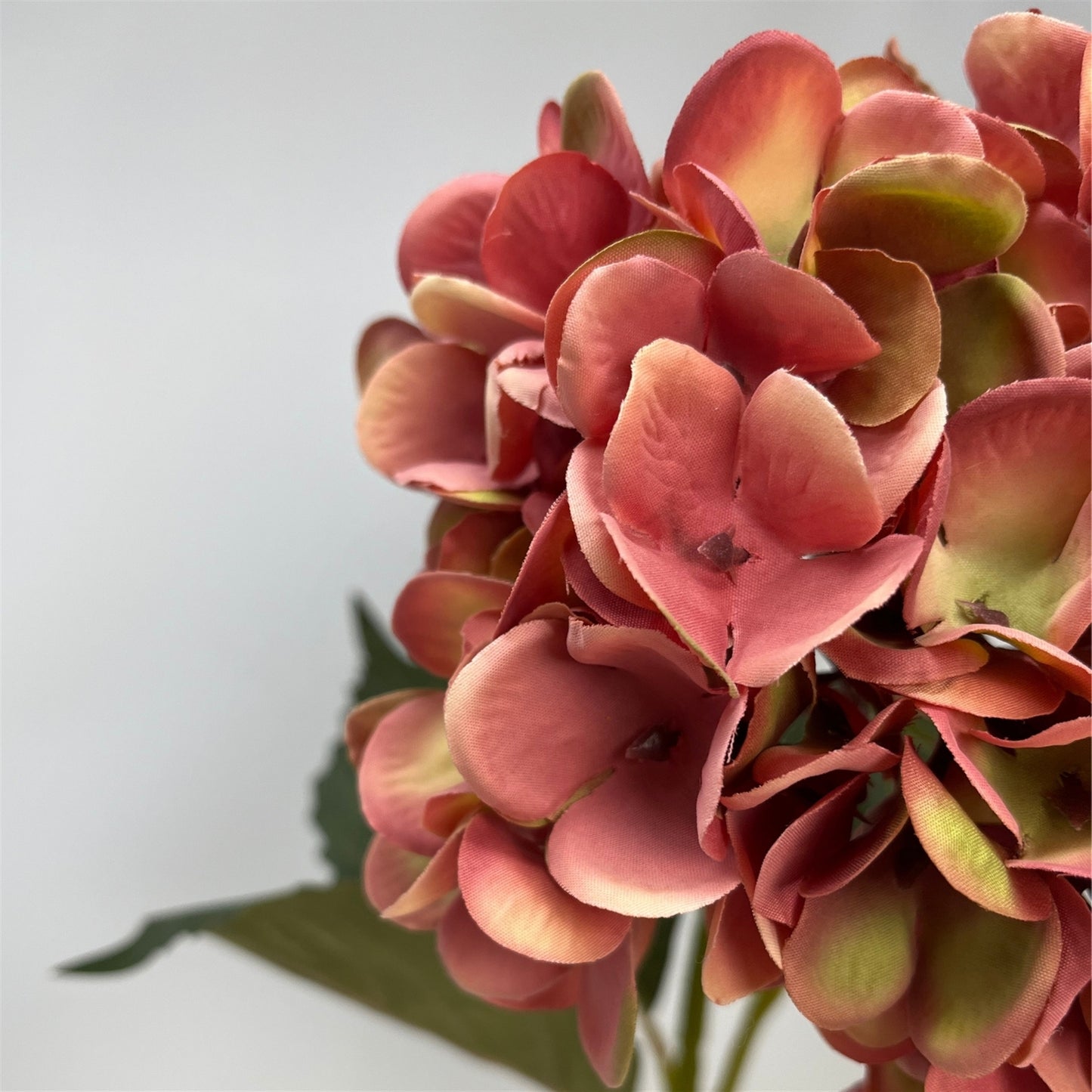 Harmony Hydrangea Stem 24" - Moody Mauve | GT
