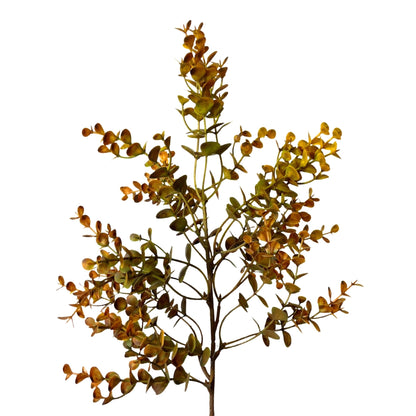 Autumn Boxwood Pick 21" - Golden
