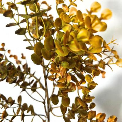 Autumn Boxwood Pick 21" - Golden