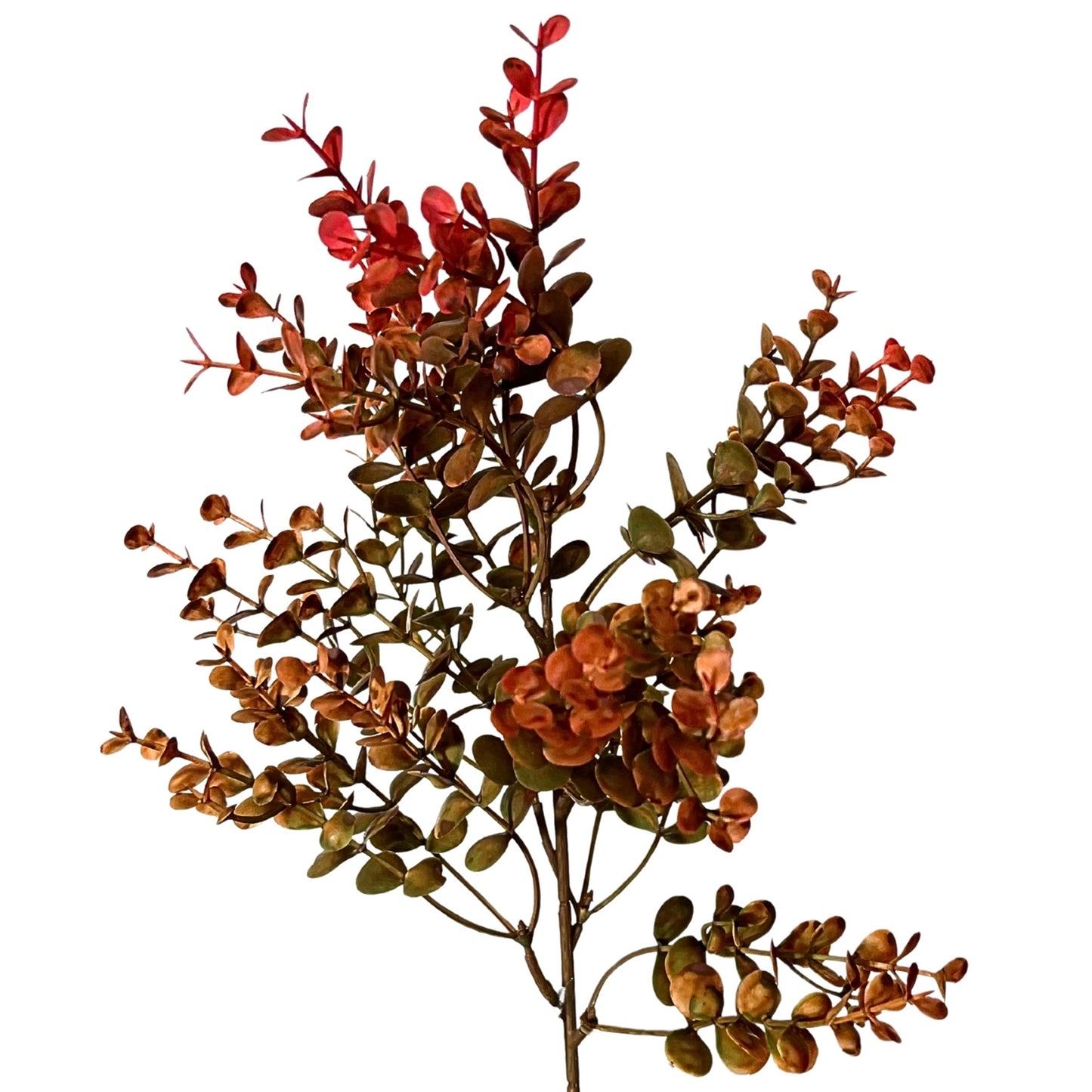 Autumn Boxwood Pick 21" - Orange/Red