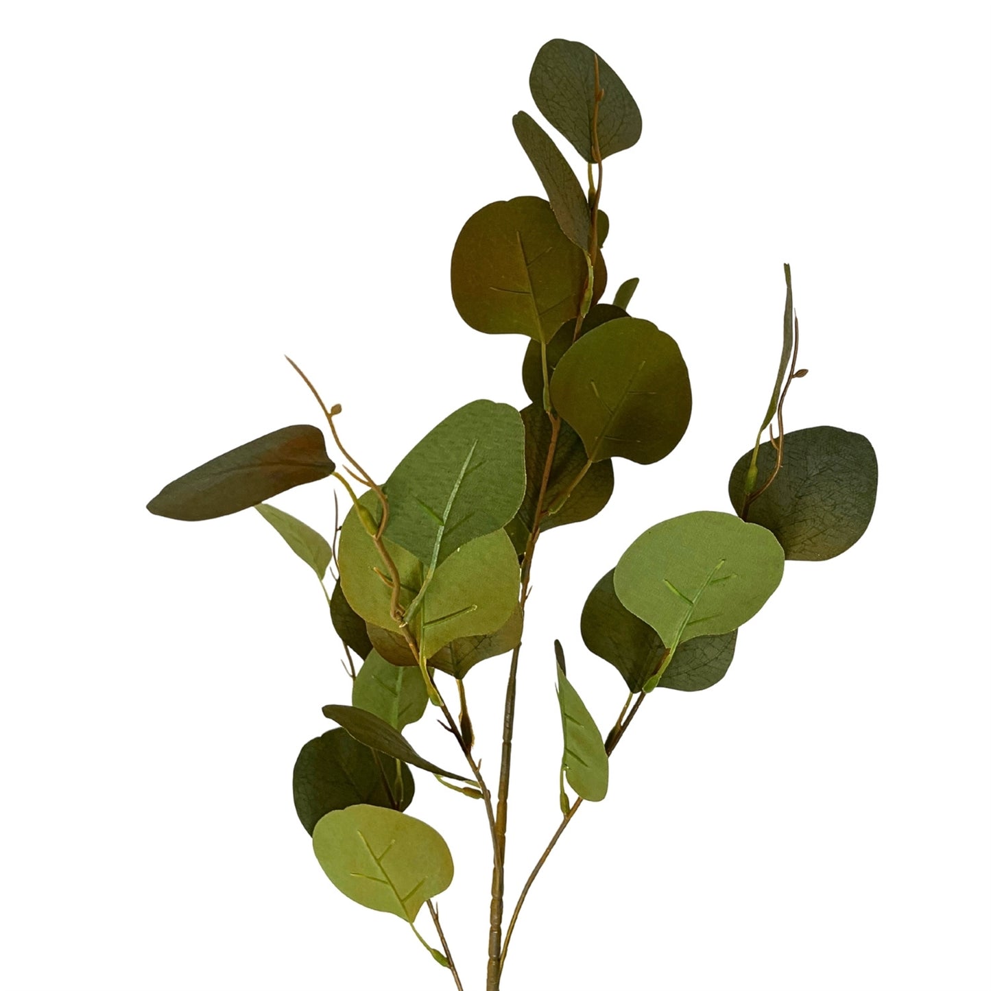 Earthy Eucalyptus Stem 33" - Green