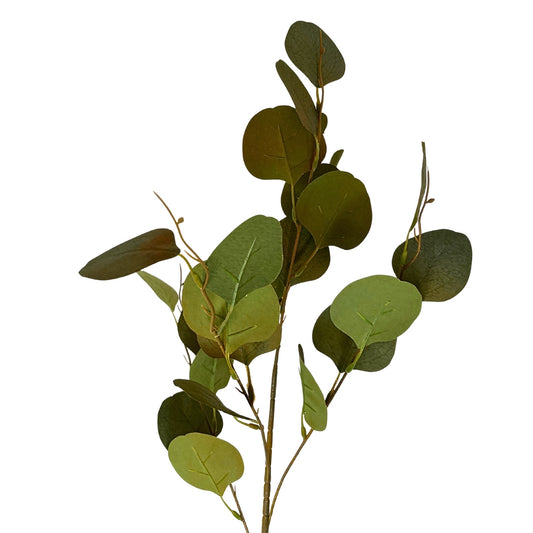Earthy Eucalyptus Stem 33" - Green | GT