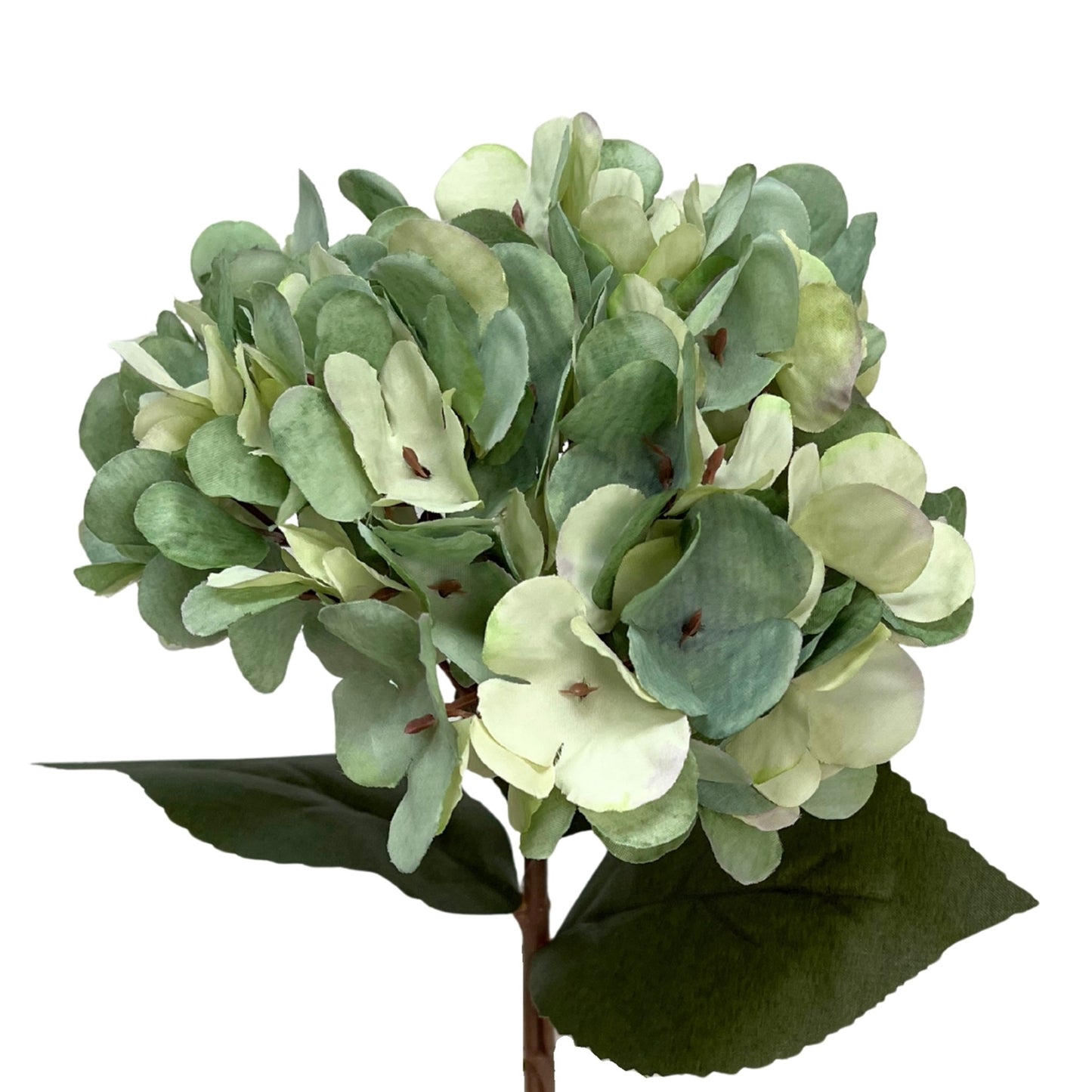 Faux Dried Hydrangea pick 13.5" - Seafoam | GT