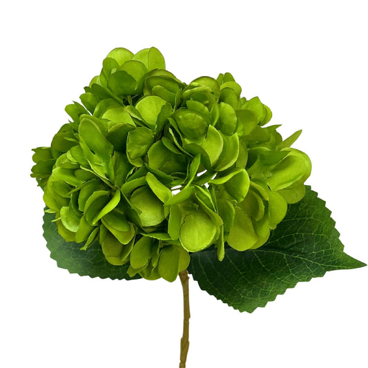 Blooming Hydrangea Stem 18" - Lime | GT