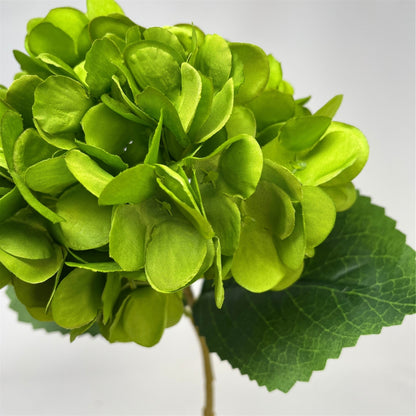 Blooming Hydrangea Stem 18" - Lime