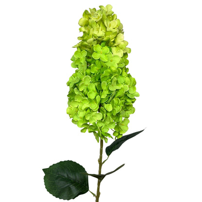 Pegee Hydrangea Stem 34" - Lime | GT