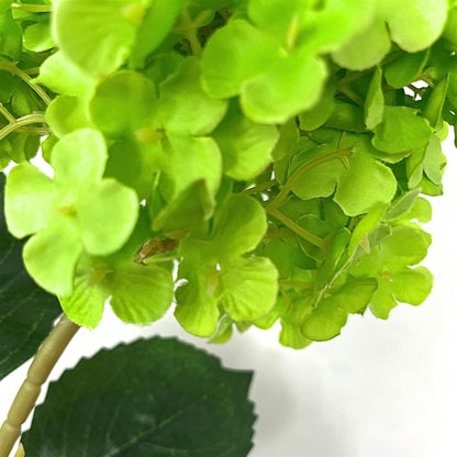 Pegee Hydrangea Stem 34" - Lime | GT