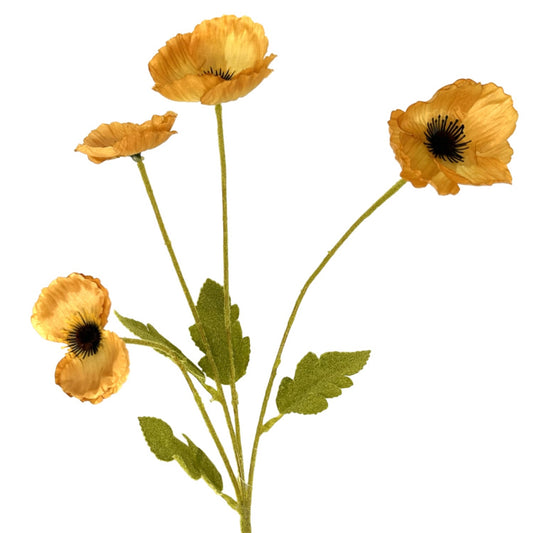 Mini Field Poppy Spray x 4 - 23" - Dijon | GT