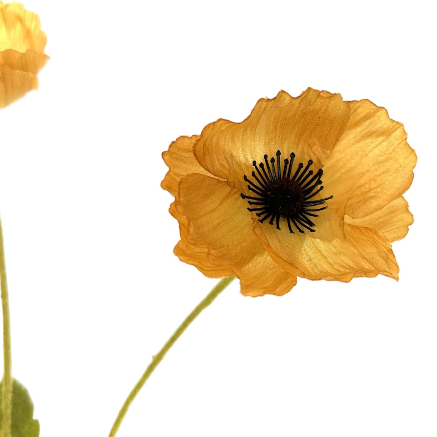 Mini Field Poppy Spray x 4 - 23" - Dijon
