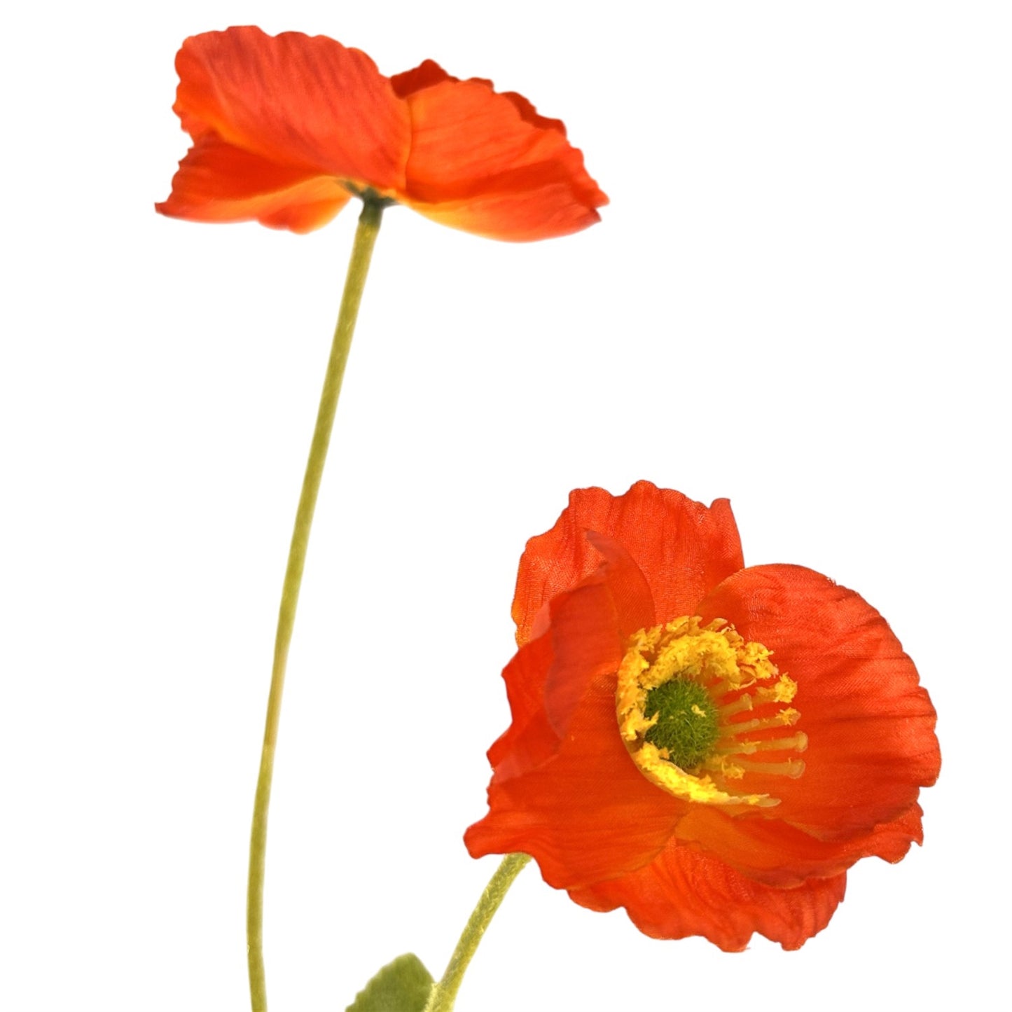 Mini Field Poppy Spray x 4 - 23" - Flame