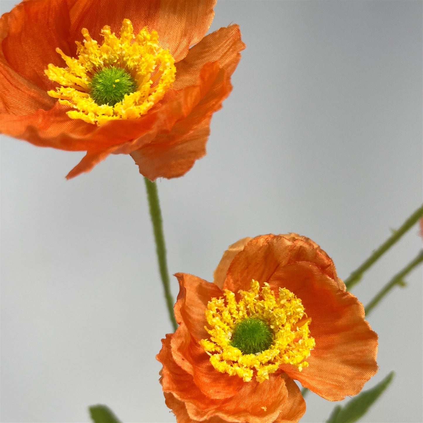Mini Field Poppy Spray x 4 - 23" - Orange