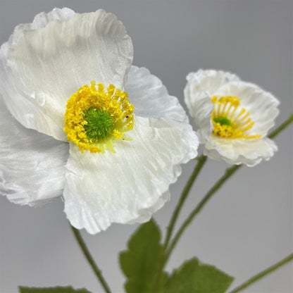 Mini Field Poppy Spray x 4 - 23" - White