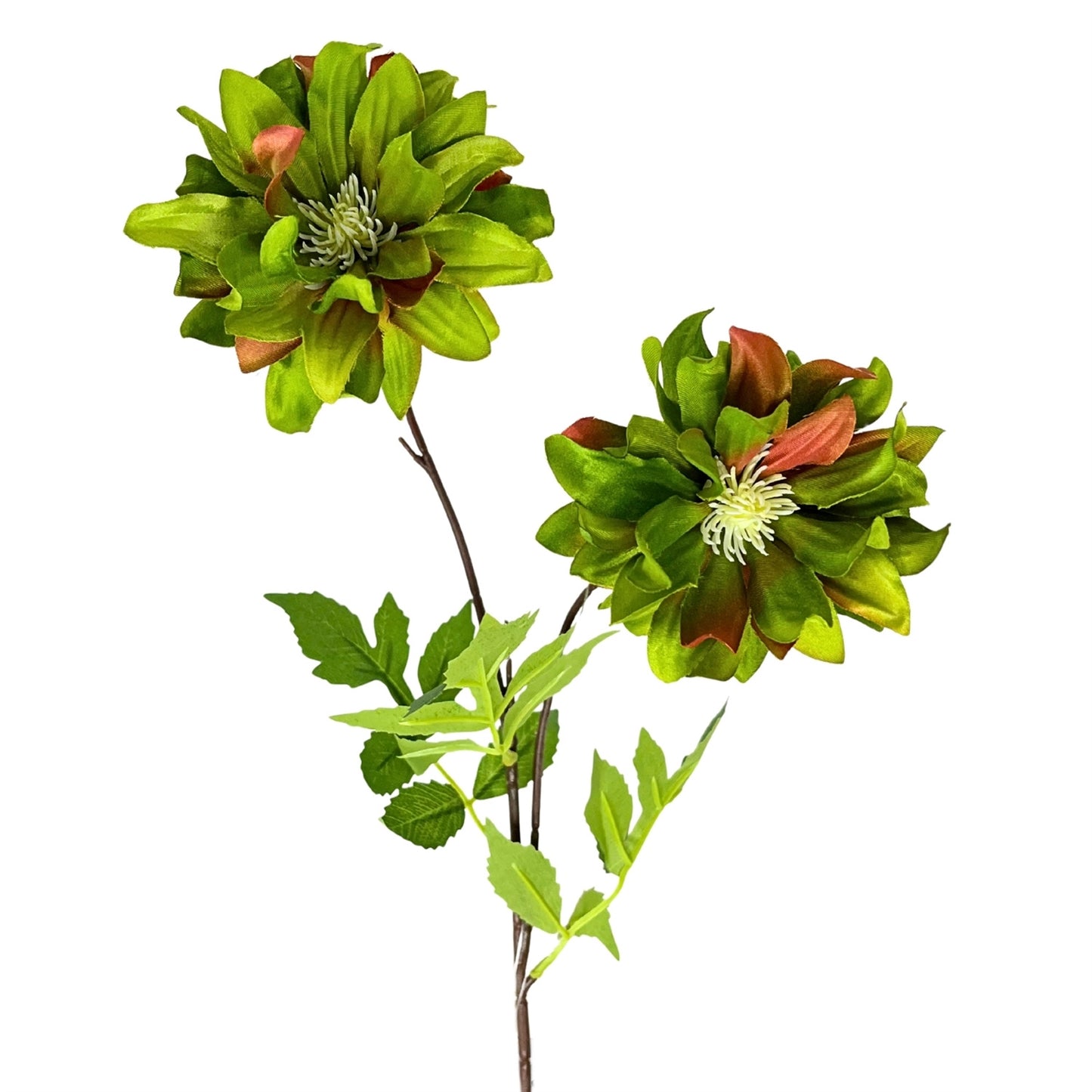 Star Dahlia Stem 27" - Green