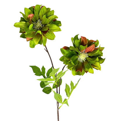 Star Dahlia Stem 27" - Green