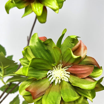 Star Dahlia Stem 27" - Green
