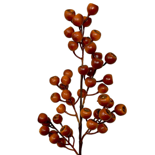 Grand Pod Berry Spray 24" - Orange | KS