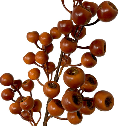 Grand Pod Berry Spray 24" - Orange | KS