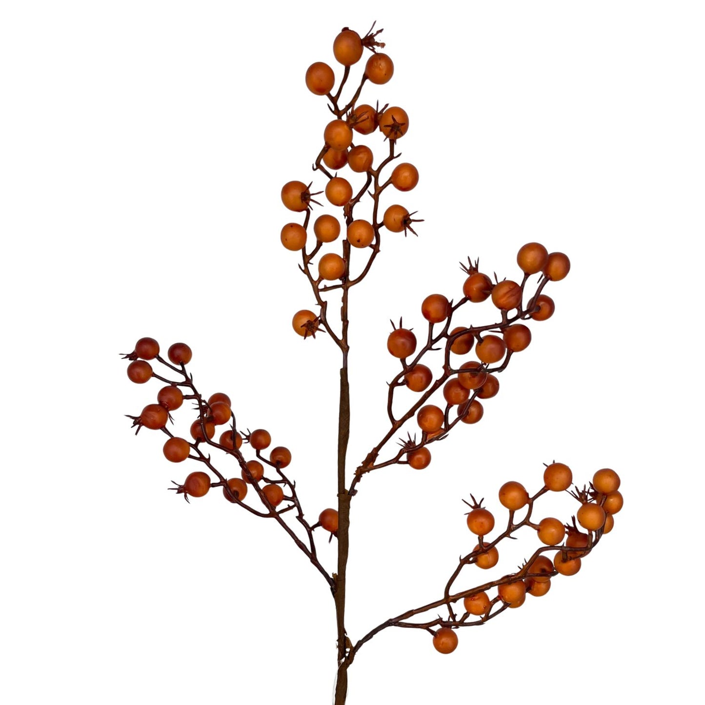 Golden Harvest Berry Spray 23" | KS