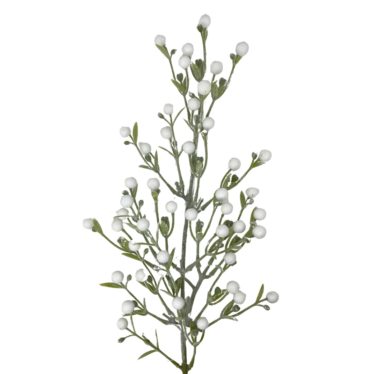 Fuzzy Frosted Mistletoe Stem 24" | DB
