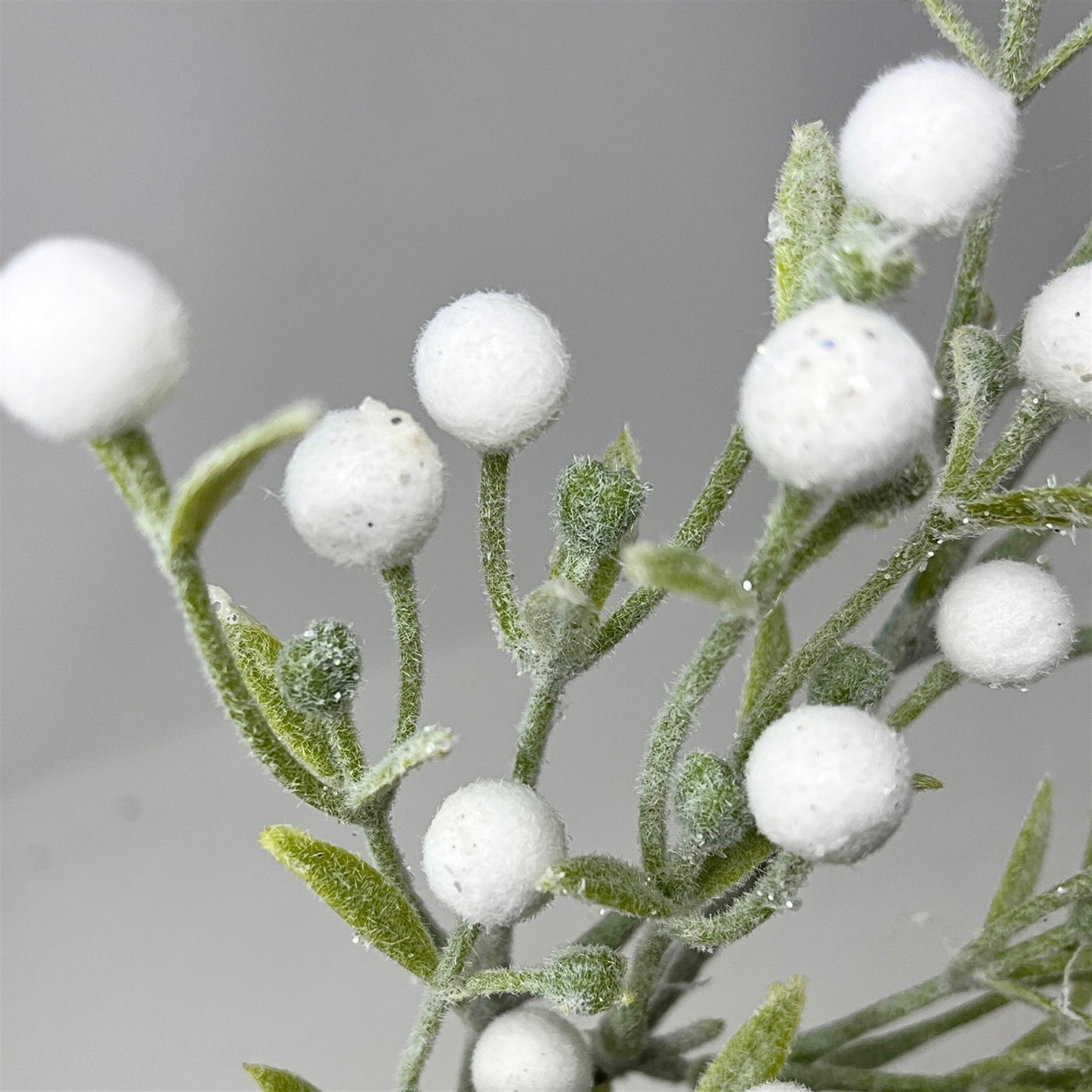 Fuzzy Frosted Mistletoe Stem 24" | DB