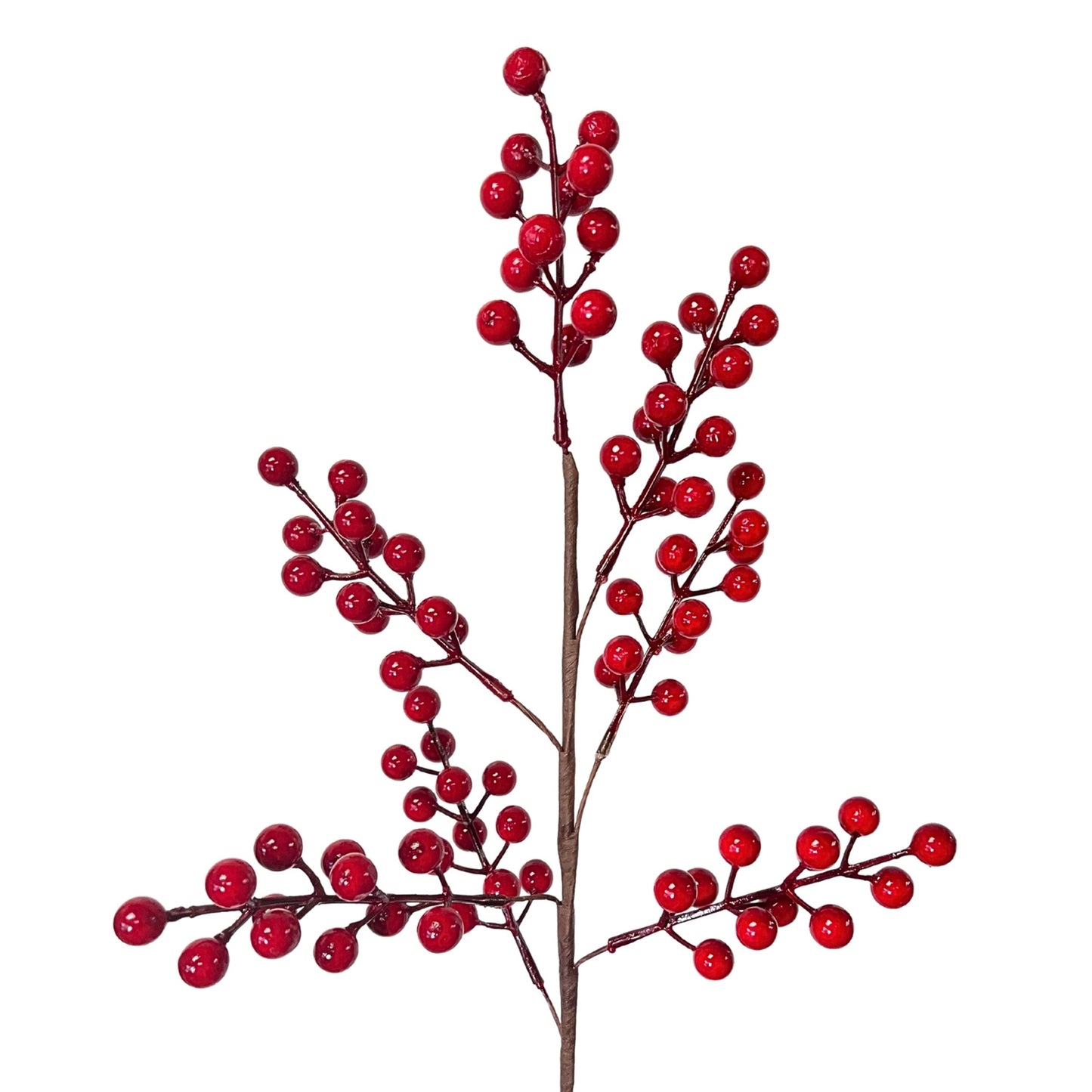 Goose Berry Stem x7 24" | DB