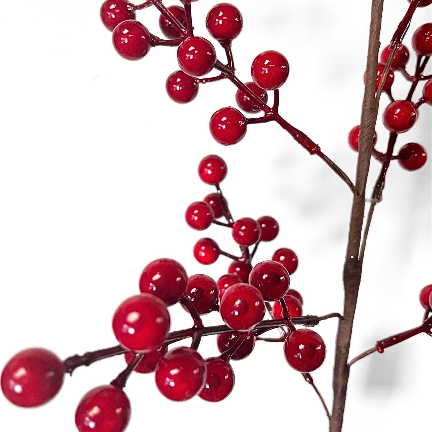 Goose Berry Stem x7 24" | DB