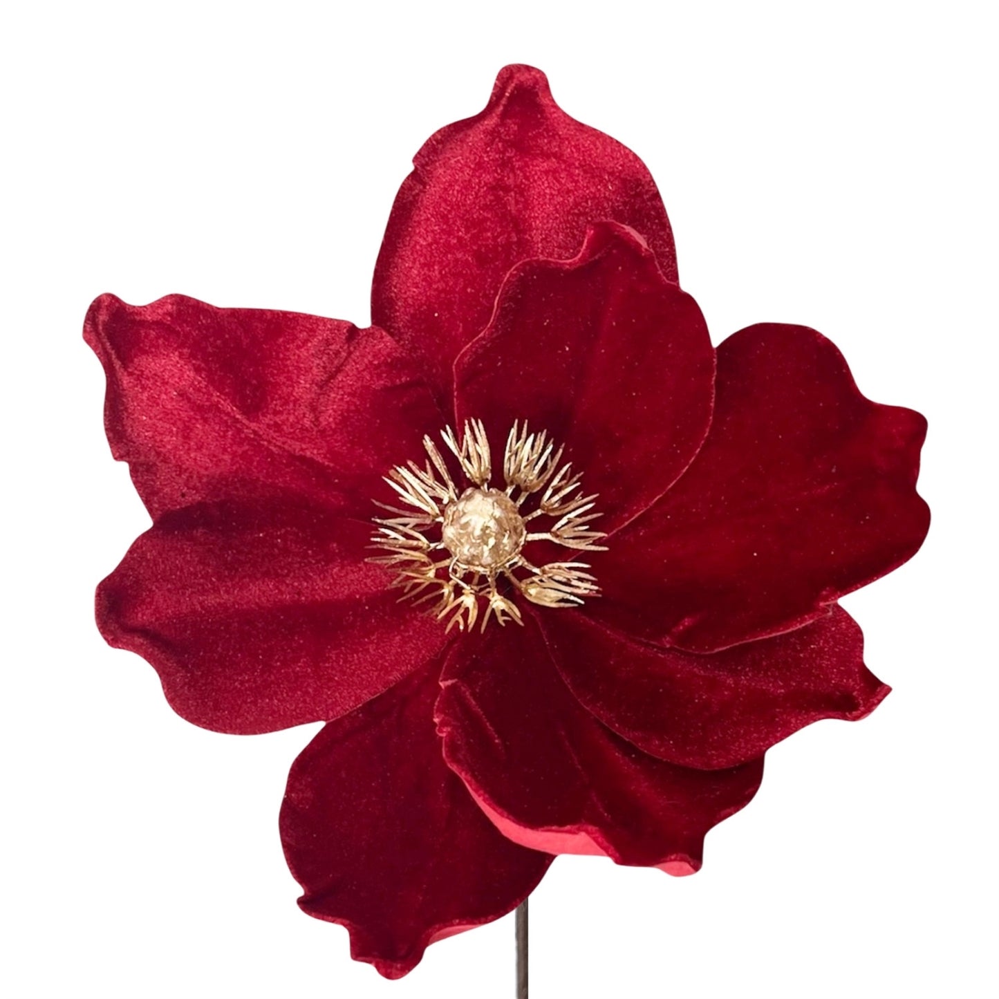 Rich Red Velvet Magnolia w/ Metallic Gold Center Dia:9" | DB
