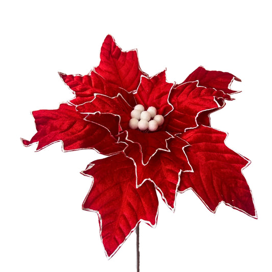 Large Red Velvet Poinsettia w/ White Edge and Center H:23" Dia:15" | DB
