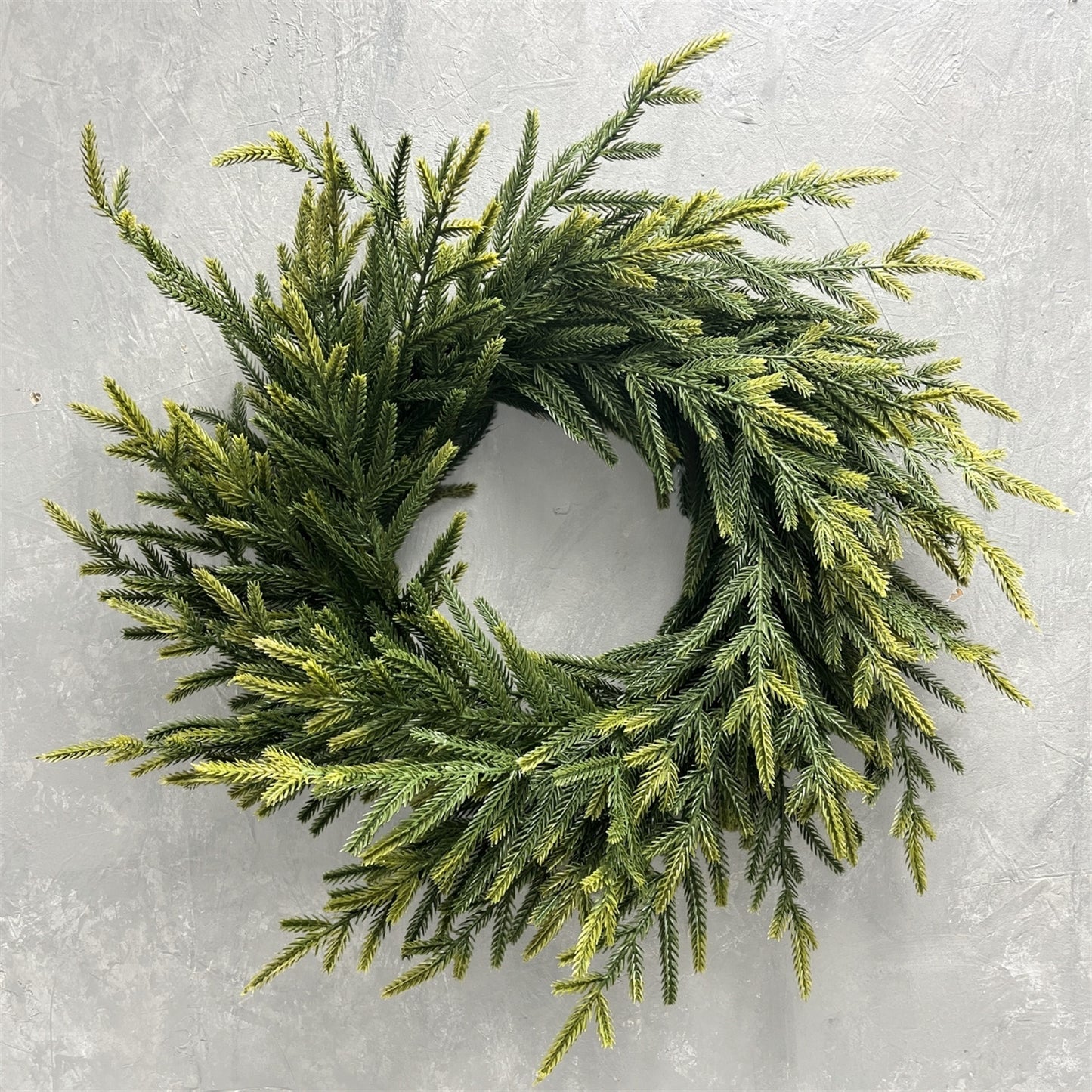 Soft Touch Norfolk Pine Wreath 24" Light Green | DB