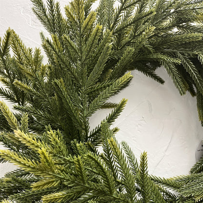 Soft Touch Norfolk Pine Wreath 24" Light Green | DB