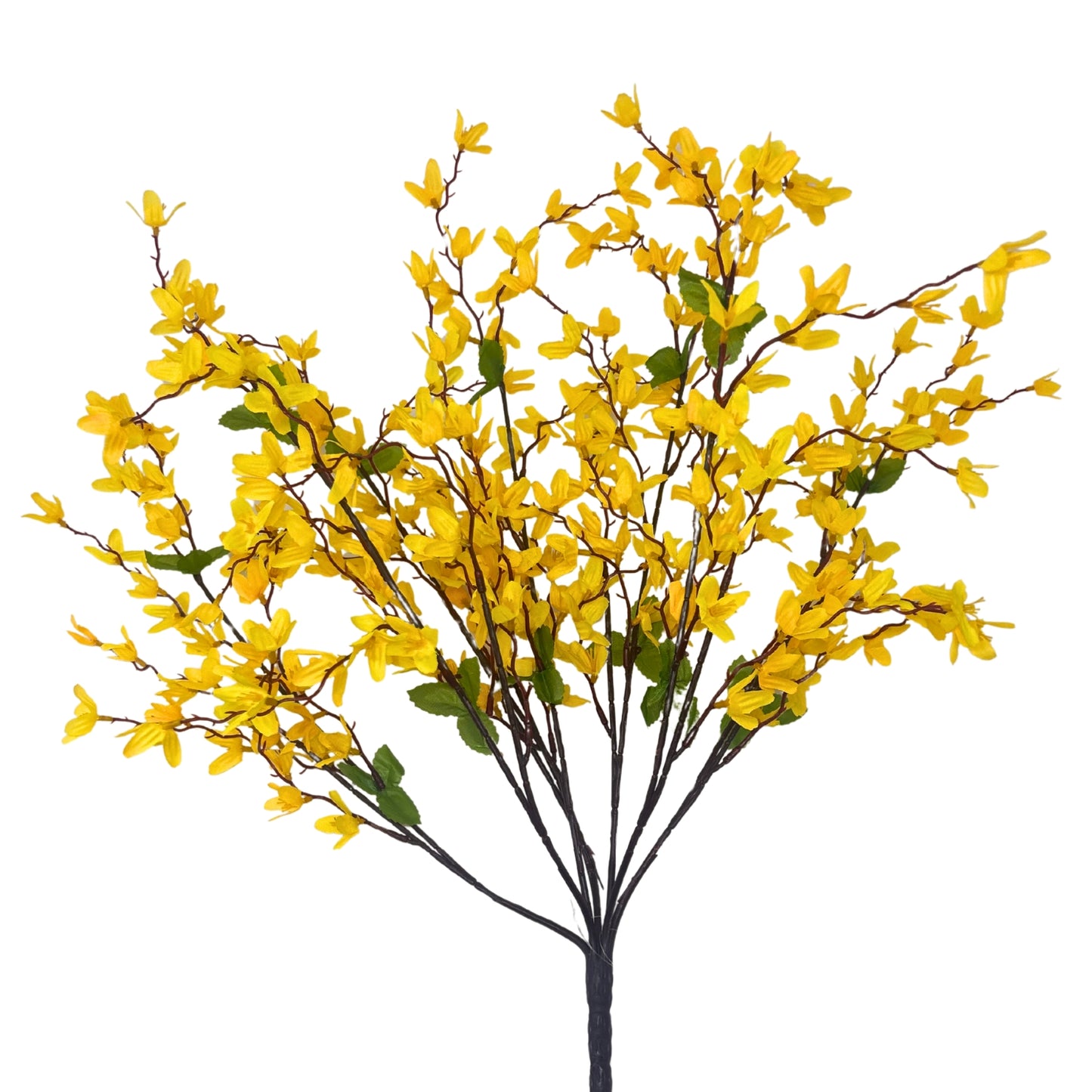 Star Blossom Bush x 7 - 24” - Yellow | BYE