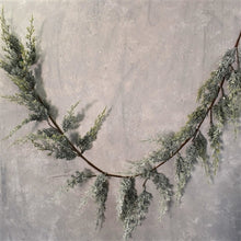 Load image into Gallery viewer, 60&quot; Frosted Cedar Garland | QD