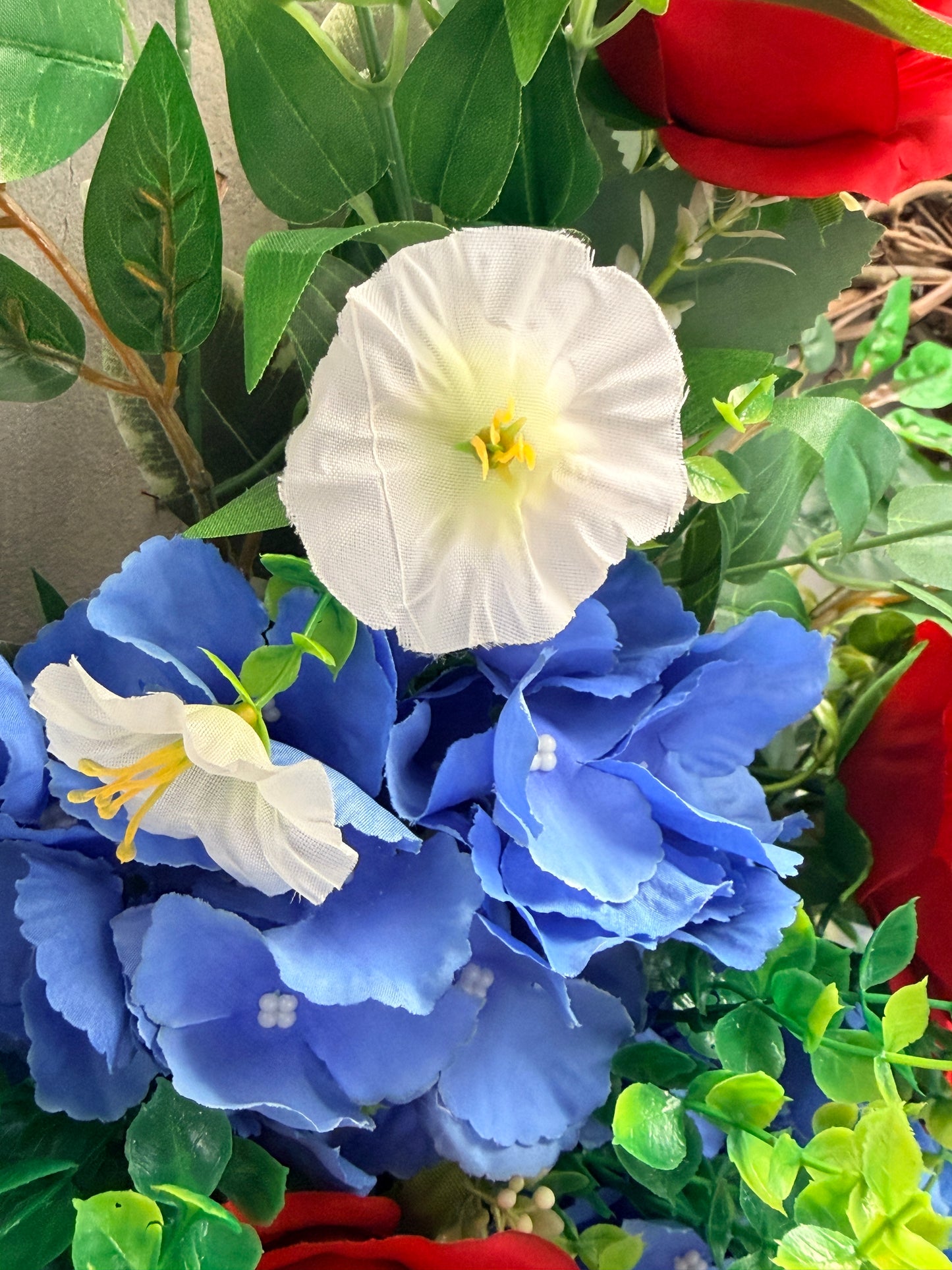 Southern Hydrangea Bush x5 - 18" Helio Blue | QOE